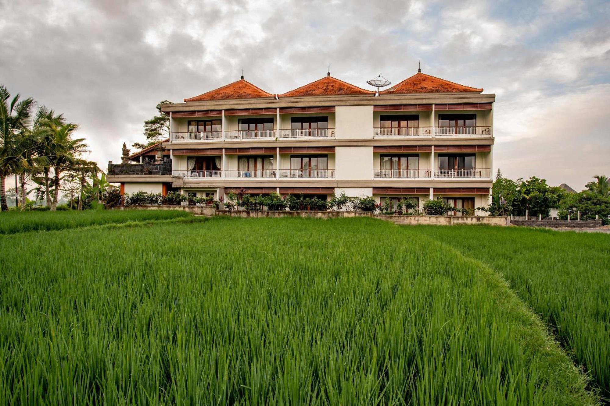 Paon Desa Ubud Exterior foto